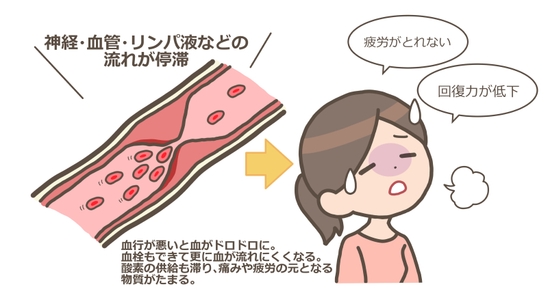 神経・血液・リンパ液などの流れが停滞。「疲労がとれない」「回復力低下」